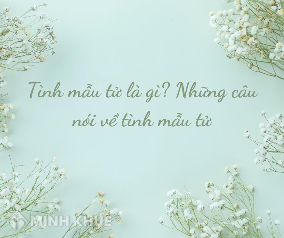 Tình Mẫu Tử Là Gì? Ví Dụ Và Những Câu Nói Ý Nghĩa Về Tình Mẫu Tử Thiêng  Liêng