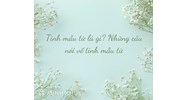 Tình mẫu tử là gì? Ví dụ và những câu nói ý nghĩa về tình mẫu tử thiêng liêng