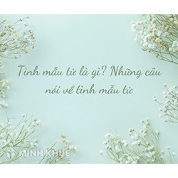 Tình mẫu tử là gì? Ví dụ và những câu nói ý nghĩa về tình mẫu tử thiêng liêng