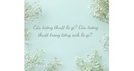 Câu tường thuật là gì? Cấu trúc câu tường thuật trong tiếng Anh?