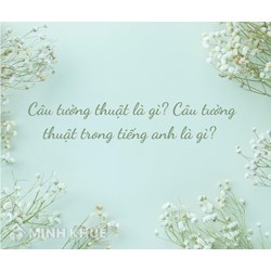 Câu tường thuật là gì? Cấu trúc câu tường thuật trong tiếng Anh?