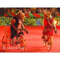 Kể về một buổi biểu diễn nghệ thuật chọn lọc hay nhất