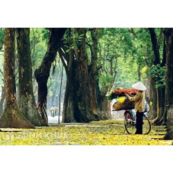 Cảm nhận khổ cuối bài Sang thu chọn lọc hay nhất