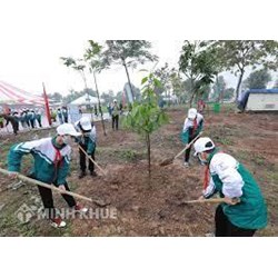 Kể việc em và các bạn chăm sóc cây chọn lọc hay nhất