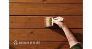 Chứng minh câu tục ngữ Tốt gỗ hơn tốt nước sơn chọn lọc hay nhất