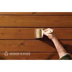 Chứng minh câu tục ngữ Tốt gỗ hơn tốt nước sơn chọn lọc hay nhất
