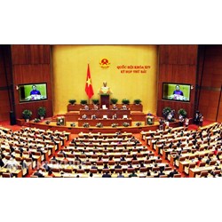 Pháp luật đại cương tiếng Anh là gì? Ý nghĩa môn pháp luật đại cương