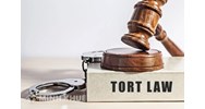 Tort law là gì? Cách hiểu đúng về nghĩa của từ "Tort law"?