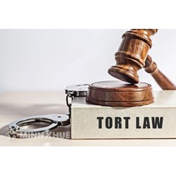 Tort law là gì? Cách hiểu đúng về nghĩa của từ "Tort law"?
