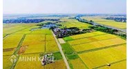 Điều kiện thuê quyền sử dụng đất nông nghiệp để kinh doanh là gì?