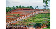 Các trường hợp không được phép tách thửa đất mới nhất