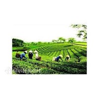 Lệ phí đăng ký thành lập liên hiệp hợp tác xã là bao nhiêu tiền?