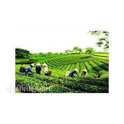 Lệ phí đăng ký thành lập liên hiệp hợp tác xã là bao nhiêu tiền?