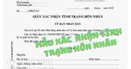 Tình trạng Hôn nhân: Khái niệm, phân loại và hướng dẫn ghi