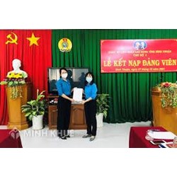 Mẫu nhận xét của chi ủy đối với Đảng viên mới nhất 2025