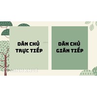 Phân biệt dân chủ trực tiếp và dân chủ gián tiếp chi tiết nhất