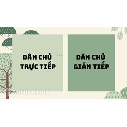 Phân biệt dân chủ trực tiếp và dân chủ gián tiếp chi tiết nhất