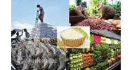 Mẫu hợp đồng thu mua nông sản, hàng hóa mới nhất