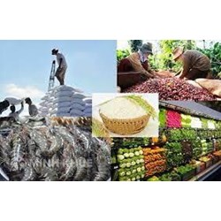 Mẫu hợp đồng thu mua nông sản, hàng hóa mới nhất