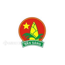 Đáp án thi tìm hiểu về lịch sử 80 năm thành lập Đội TNTP Hồ Chí Minh