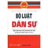 Bộ Luật dân sự tiếng Anh là gì? Thuật ngữ tiếng Anh luật dân sự