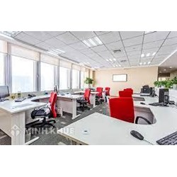Ngôn ngữ văn bản thành lập văn phòng đại diện công ty Việt Nam