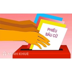 Tại sao luật lại hạn chế các trường hợp không được tham gia bầu cử?