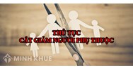 Thủ tục cắt giảm người phụ thuộc theo quy định làm thế nào?