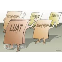 Nghị quyết có phải là văn bản pháp luật không? Tại sao?