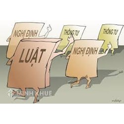 Nghị quyết có phải là văn bản pháp luật không? Tại sao?