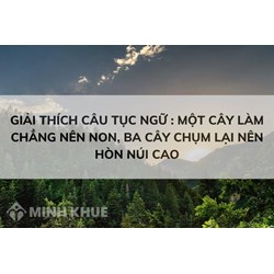 Giải thích câu tục ngữ Một cây làm chẳng nên non ba cây chụm lại nên hòn núi cao