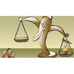 Nguyên tắc bảo đảm quyền bình đẳng trước pháp luật - Ví dụ về quyền bình đẳng trước pháp luật
