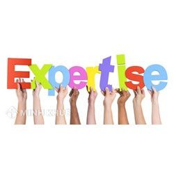 Thẩm định tiếng Anh là gì? Expertise là gì? Thuật ngữ liên quan
