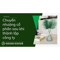 Thành lập công ty được chuyển nhượng cổ phần sau bao lâu?