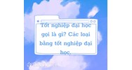 Tốt nghiệp đại học gọi là gì? Các loại bằng tốt nghiệp đại học