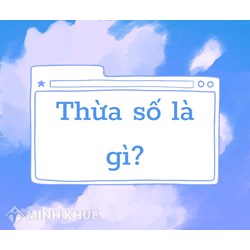 Thừa số là gì? Cách phân tích một số thành các thừa số?