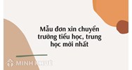 Mẫu đơn xin chuyển trường tiểu học, trung học mới nhất