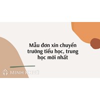 Mẫu đơn xin chuyển trường tiểu học, trung học mới nhất