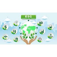 ESG là gì? Đầu tư ESG là gì? Xu hướng đầu tư vào các mã cổ phiếu xanh ESG?