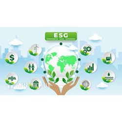 ESG là gì? Đầu tư ESG là gì? Xu hướng đầu tư vào các mã cổ phiếu xanh ESG?
