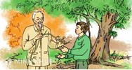 Kể lại một việc Bác Hồ đã làm trong câu chuyện Chiếc rễ đa tròn
