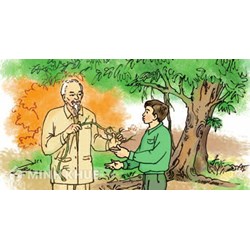Kể lại một việc Bác Hồ đã làm trong câu chuyện Chiếc rễ đa tròn