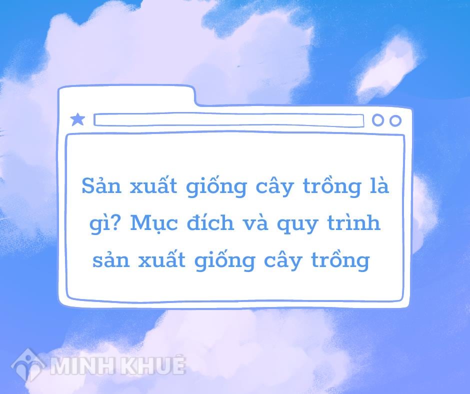 Sản xuất giống cây trồng là gì? Mục đích và quy trình sản xuất giống cây trồng