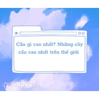 Cầu gì cao nhất? Top những cây cầu cao nhất trên thế giới