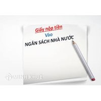 Mẫu giấy nộp tiền vào ngân sách nhà nước mới nhất 2024