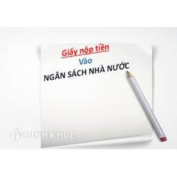Mẫu giấy nộp tiền vào ngân sách nhà nước mới nhất 2024