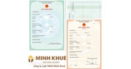 Mẫu giấy khai sinh bản chính và bản sao mới nhất