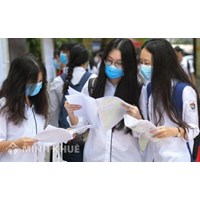 Mẫu đơn dự tuyển sinh vào lớp 10 cập nhật mới nhất