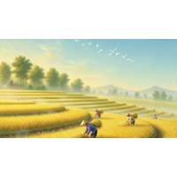 Tả cánh đồng vào buổi sáng lớp 5