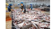 Thành lập công ty kinh doanh thủy sản, giống thủy sản
